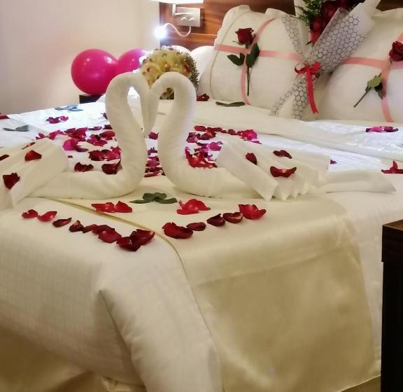 جناح جونيور ديلوكس, Central Park Hotel Bisha