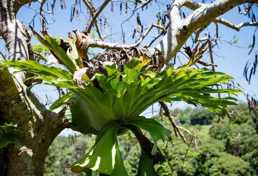 جناح عائلي, Farm Stay Tweed Coast Holidays®