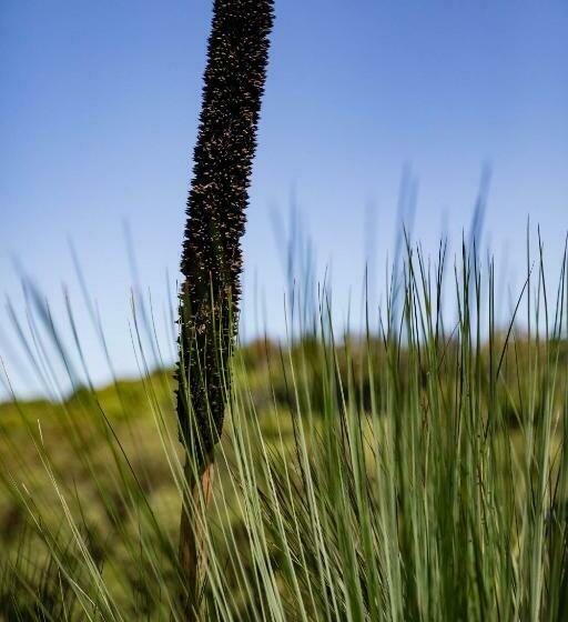 جناح عائلي, Farm Stay Tweed Coast Holidays®
