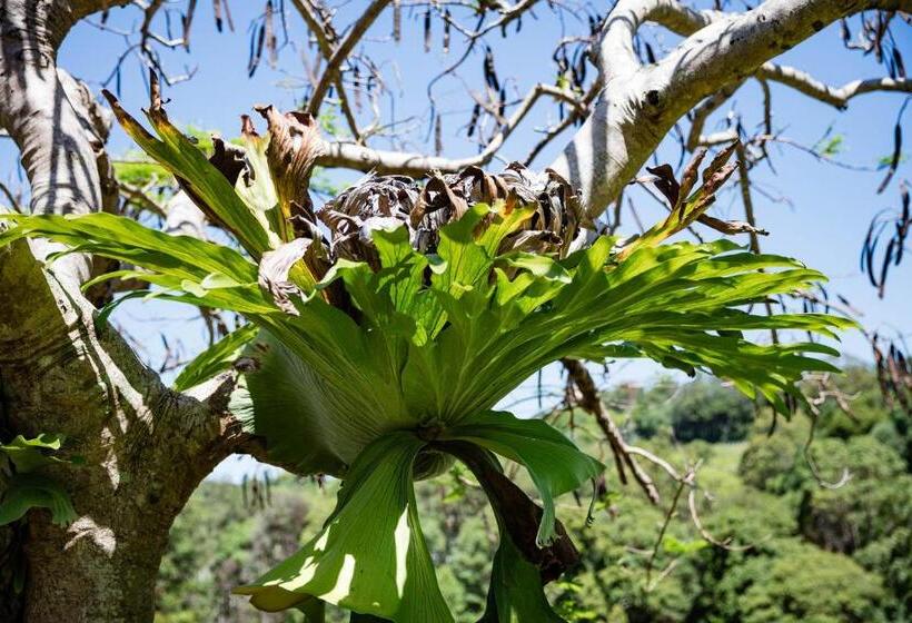 منزل غرفتين نوم, Farm Stay Tweed Coast Holidays®