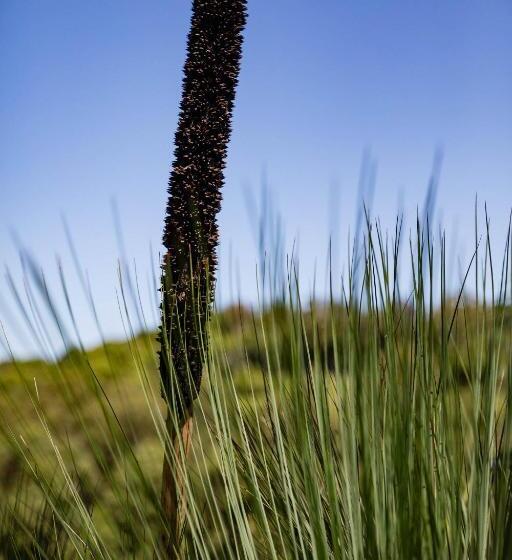 منزل غرفتين نوم, Farm Stay Tweed Coast Holidays®