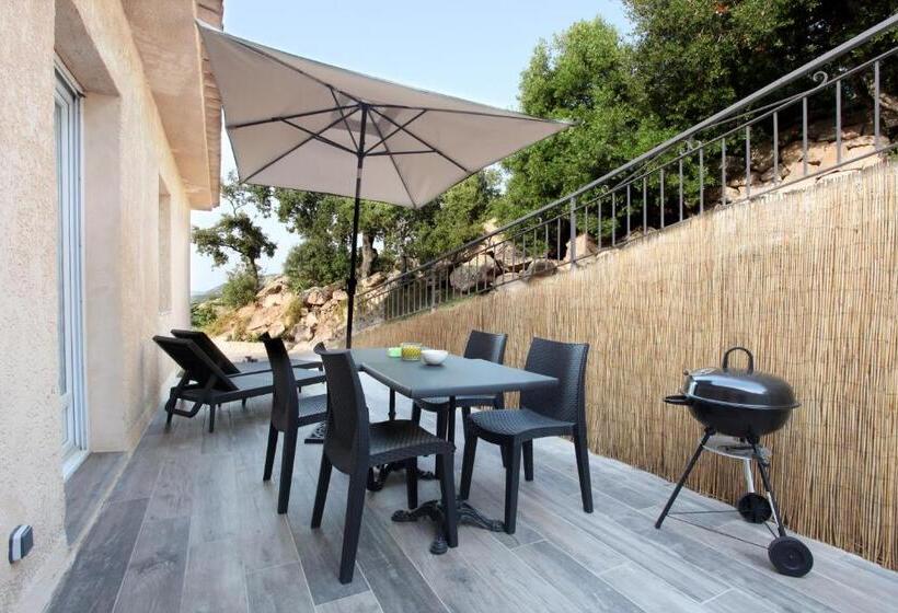 Апартаменты 1 Спальня с Террасой, Residence Punta Serena