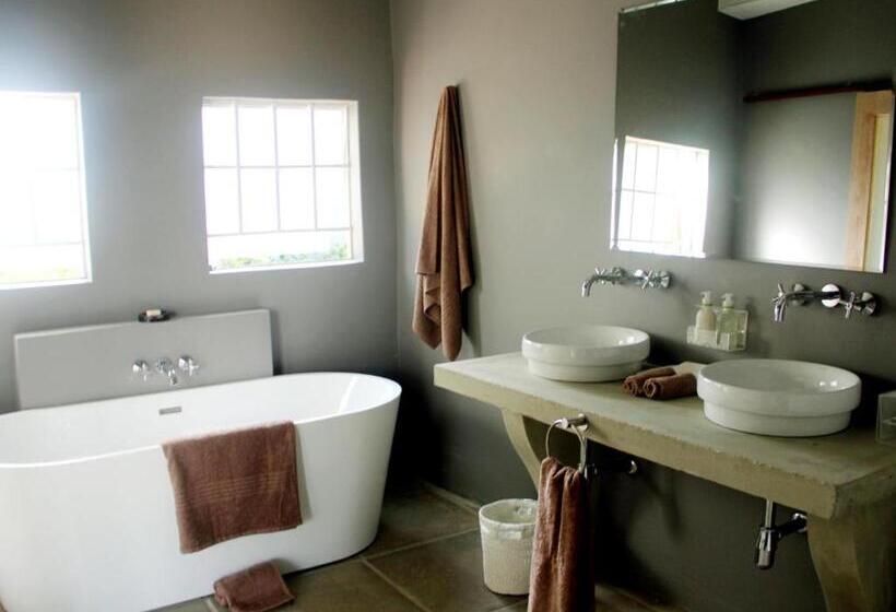 إستوديو قياسى, White Light The Rooms   Adults Only