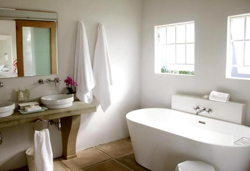 إستوديو قياسى, White Light The Rooms   Adults Only