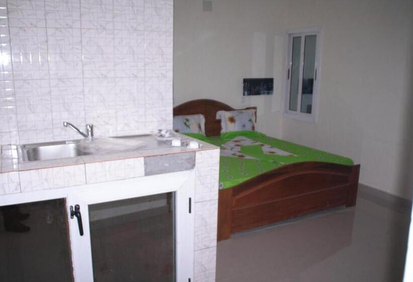 استودیوی استاندارد, Le Parisien