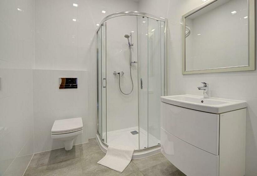 1ベッドルームのデラックスアパートメント, Pałac Cieszyno