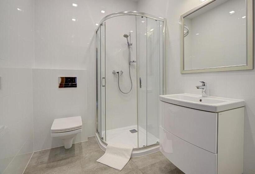 1ベッドルームアパートメント, Pałac Cieszyno