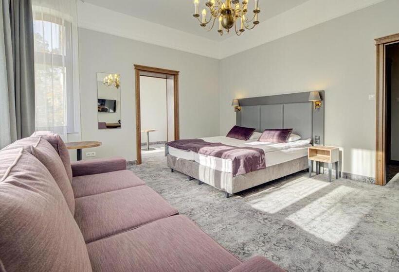 1ベッドルームのスーペリアアパートメント, Pałac Cieszyno