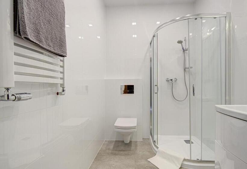 1ベッドルームのデラックスアパートメント, Pałac Cieszyno