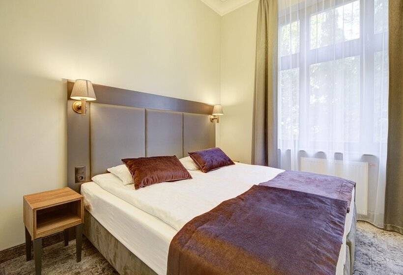 1ベッドルームのデラックスアパートメント, Pałac Cieszyno