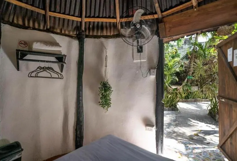 اتاق استاندارد با سرویس بهداشتی مشترک, Hostel Oryx Tulum