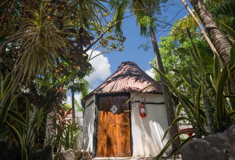 バス共有のスタンダードルーム, Hostel Oryx Tulum