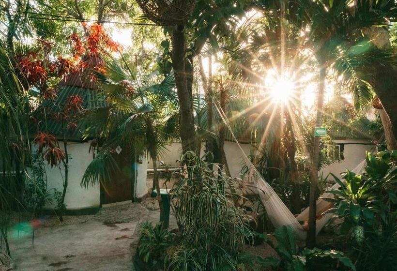 バス共有のスタンダードルーム, Hostel Oryx Tulum