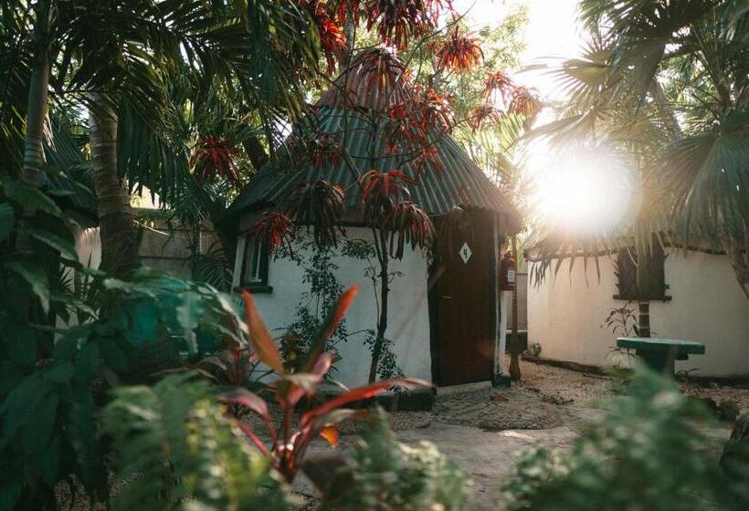 バス共有のスタンダードルーム, Hostel Oryx Tulum