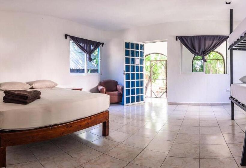 スタンダード4人部屋, Hostel Oryx Tulum