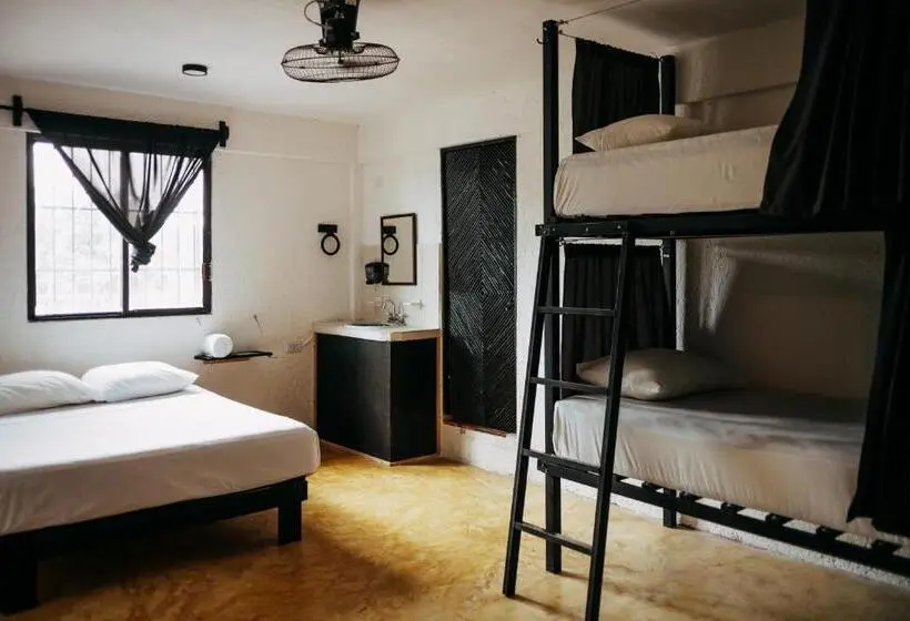 اتاق استاندارد چهار تخته, Hostel Oryx Tulum
