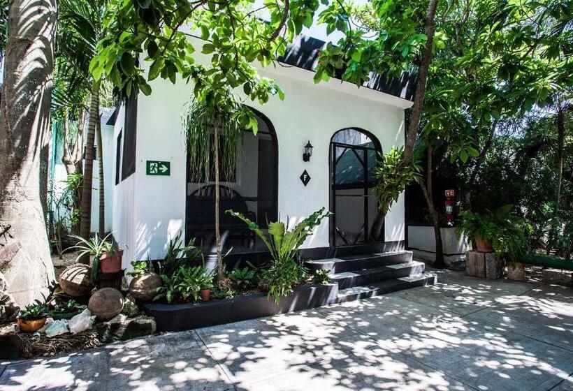 スタンダード4人部屋, Hostel Oryx Tulum