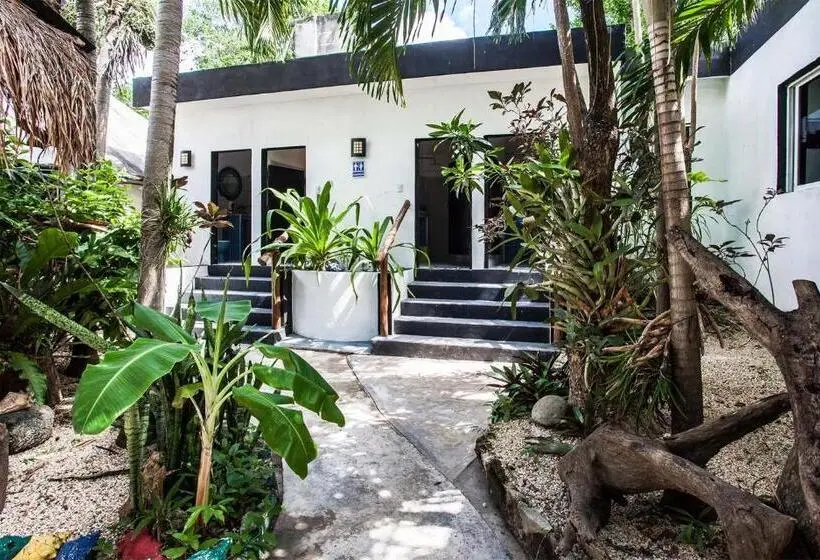 تختخواب در اتاق مشترک, Hostel Oryx Tulum