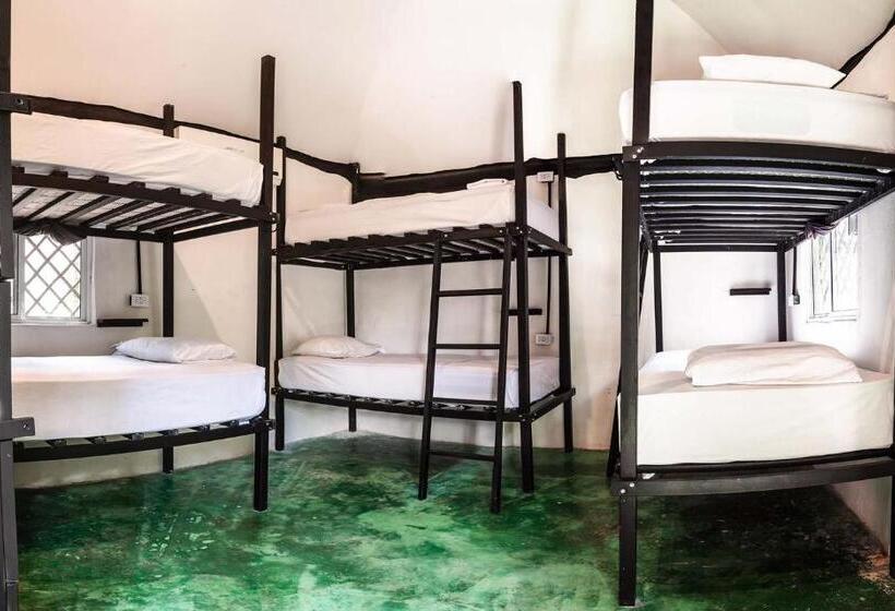 ルームシェアのワンベッド, Hostel Oryx Tulum