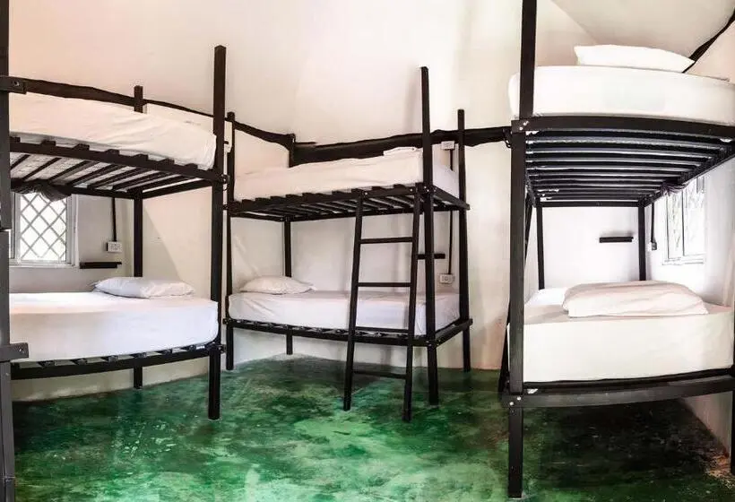 تختخواب در اتاق مشترک, Hostel Oryx Tulum