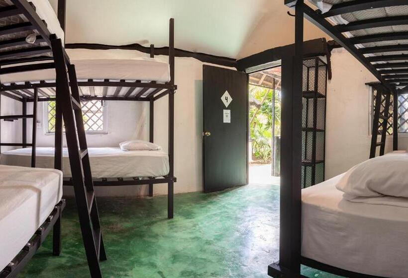 ルームシェアのワンベッド, Hostel Oryx Tulum