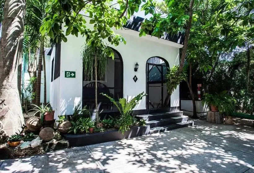 اتاق استاندارد, Hostel Oryx Tulum