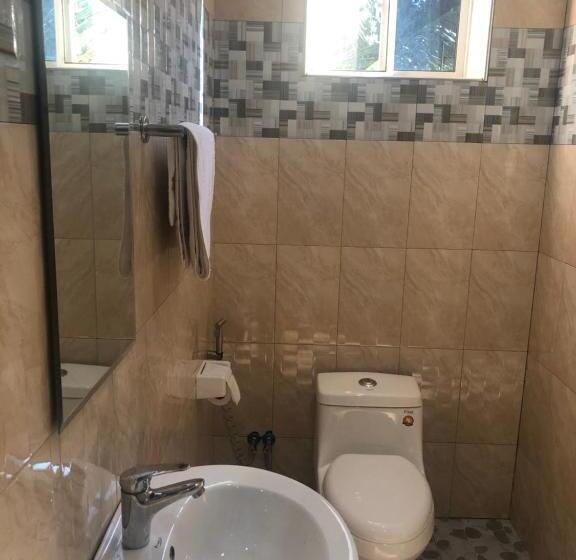 スタンダードルーム, Phyllen