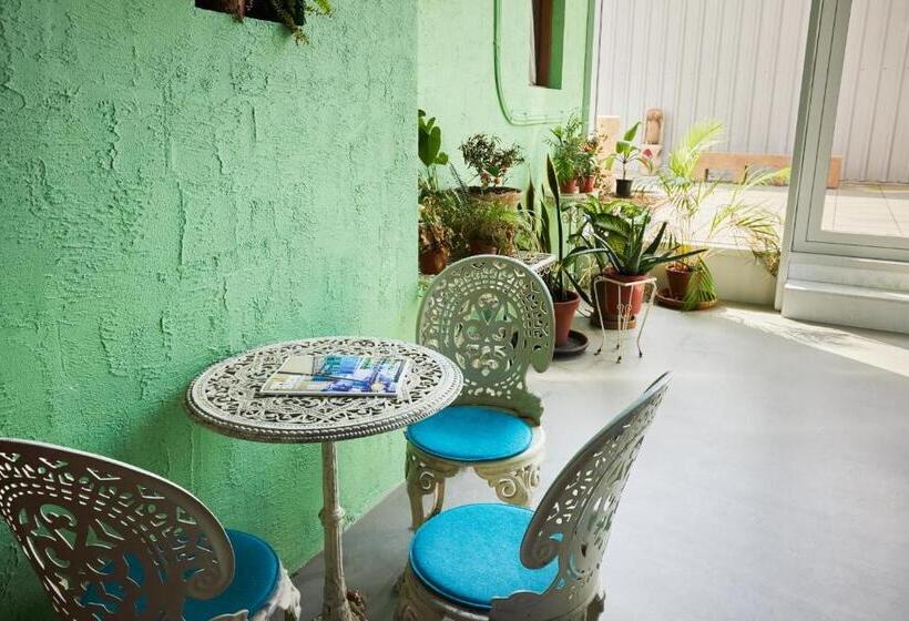 基本间, Not Hotel Rotterdam