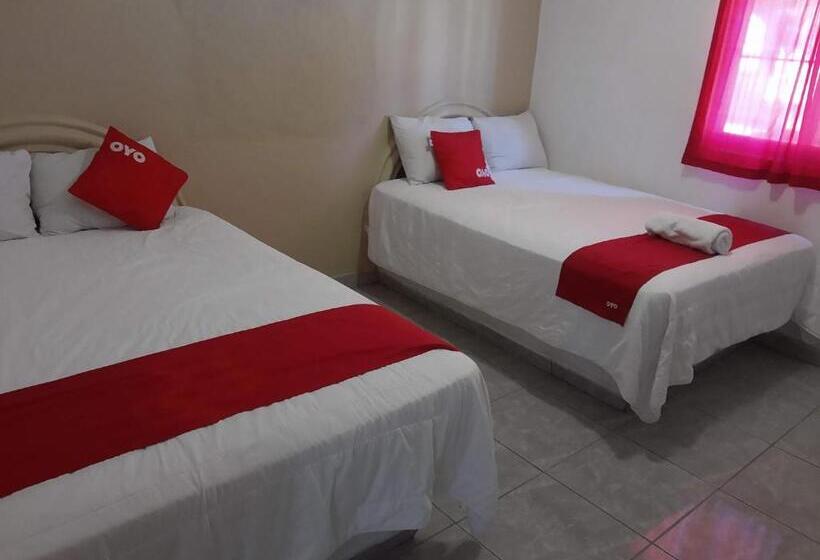 Bungalow Deluxe, Y Bungalows Bugambilias
