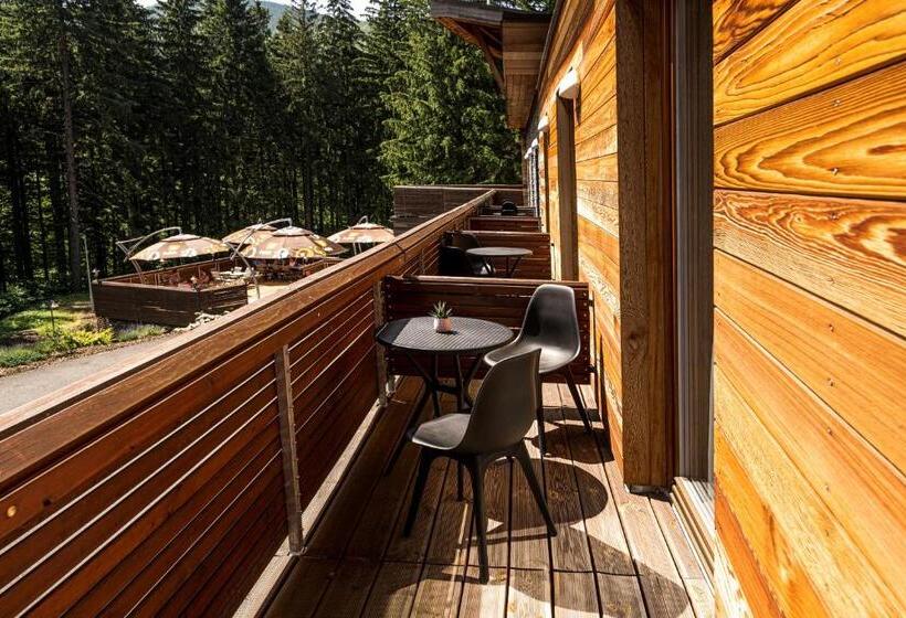 اتاق استاندارد با تراس, Horský Hotel Lorkova Vila