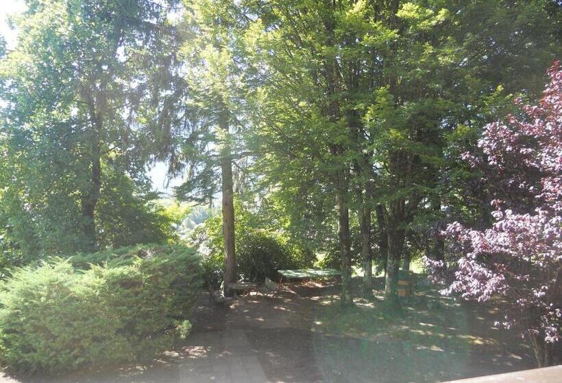 חדר סטנדרט לשלושה, Bellevue