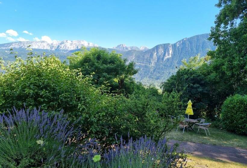 חדר יחיד נוף לגינה, Bellevue