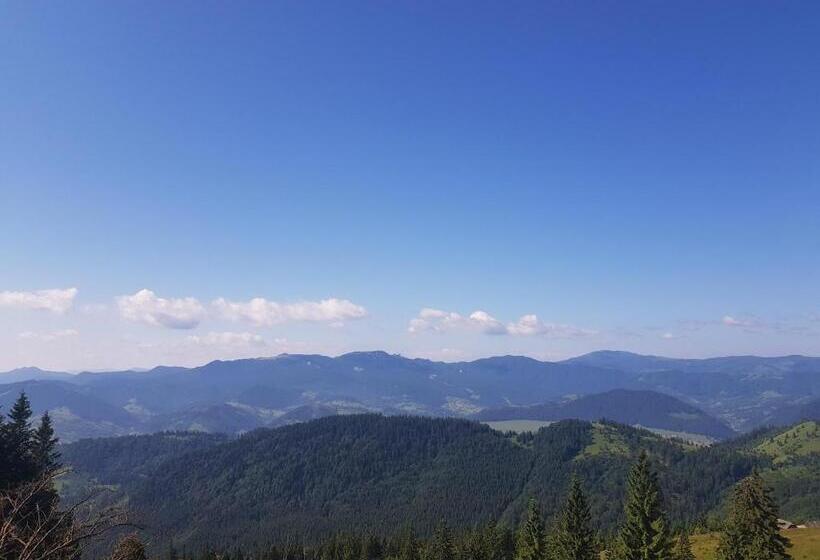 منزل غرفة نوم واحدة, Casa Pădurarului