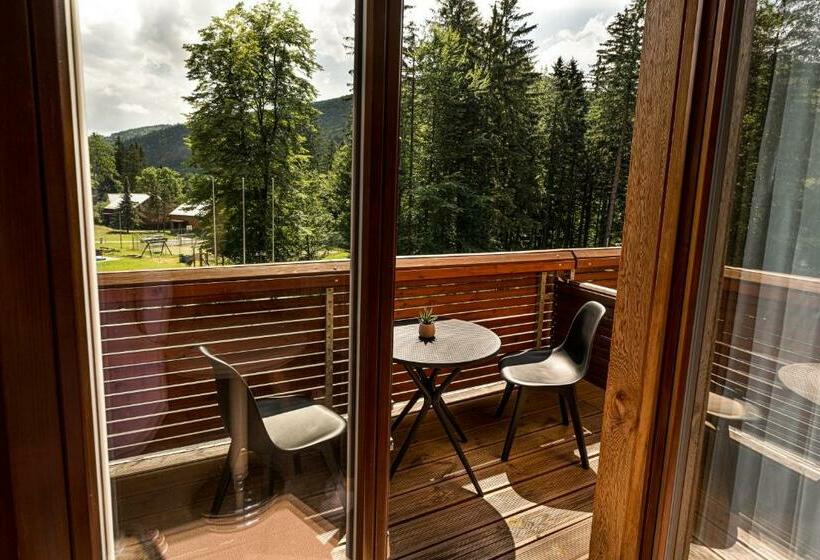 اتاق استاندارد با تراس, Horský Hotel Lorkova Vila