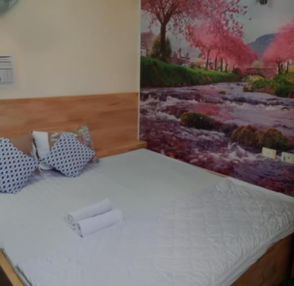 اتاق استاندارد با تخت بزرگ, Khách Sạn Duy Hoàng