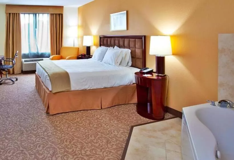 キングサイズベッドのスタンダードルーム, Holiday Inn Express Hotel & Suites Brooksville I 75, An Ihg