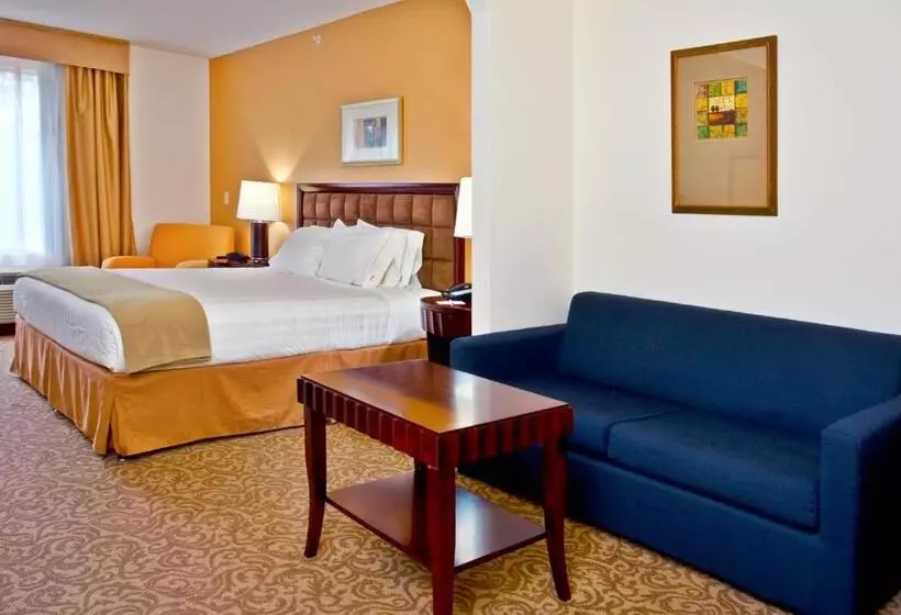 キングサイズベッドのスイートルーム, Holiday Inn Express Hotel & Suites Brooksville I 75, An Ihg