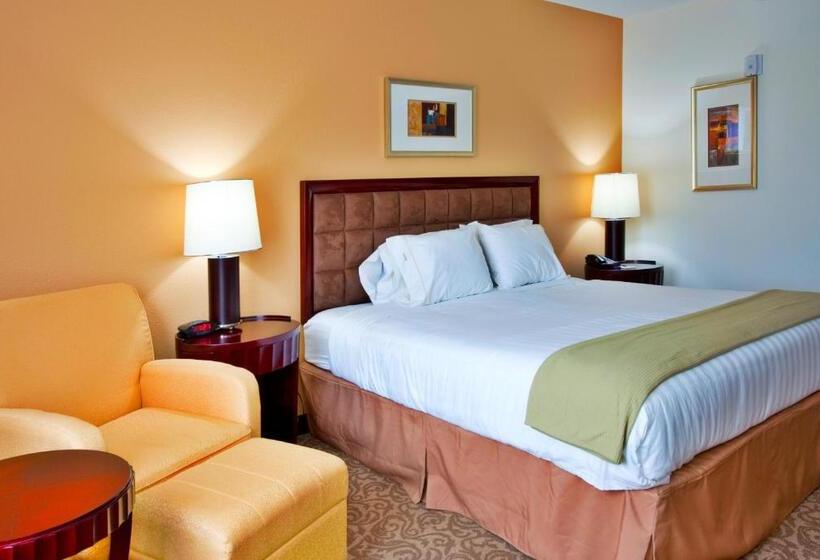 غرفة قياسية سرير كينج, Holiday Inn Express Hotel & Suites Brooksville I 75, An Ihg