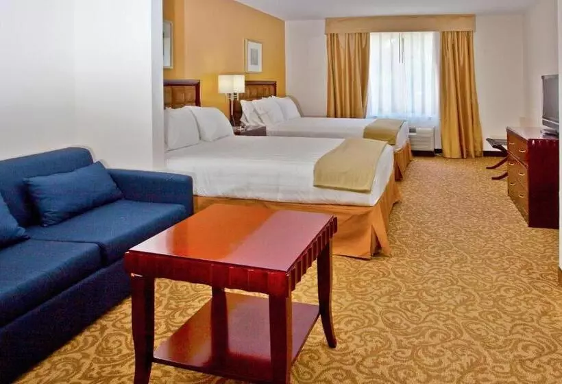 スイート, Holiday Inn Express Hotel & Suites Brooksville I 75, An Ihg
