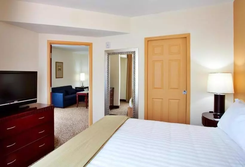 エクゼクティブスイート, Holiday Inn Express Hotel & Suites Brooksville I 75, An Ihg