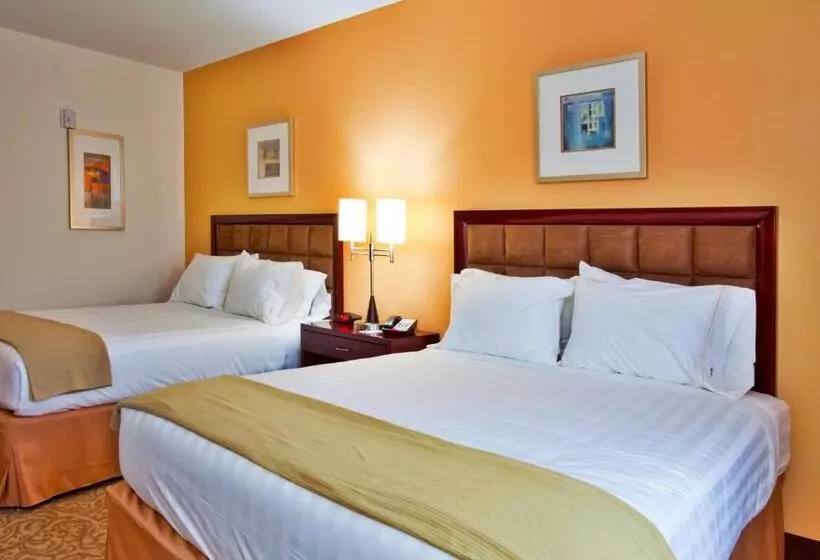 スタンダードルーム, Holiday Inn Express Hotel & Suites Brooksville I 75, An Ihg