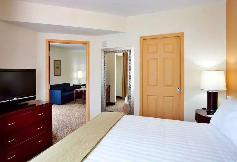 スイート, Holiday Inn Express Hotel & Suites Brooksville I 75, An Ihg