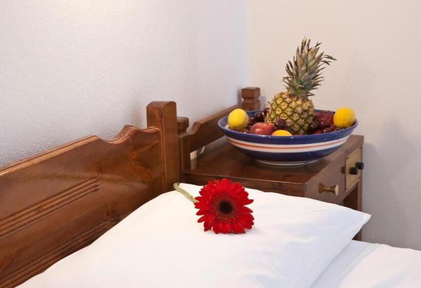 غرفة قياسية مطلة على المدينة, Albatross