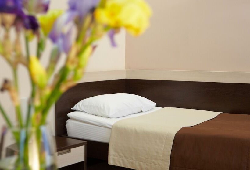 اتاق استاندارد یک نفره, Beliy Gorod