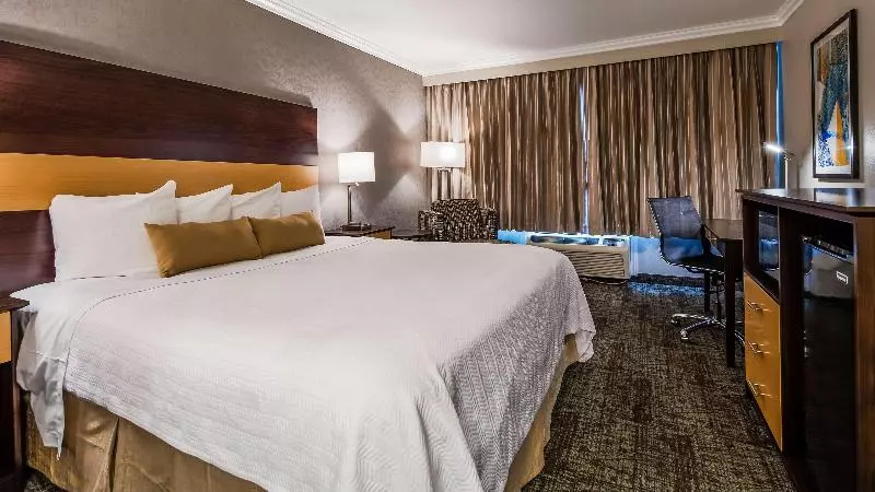 سوئیت با تخت بزرگ, Hilton Garden Inn Kutahya