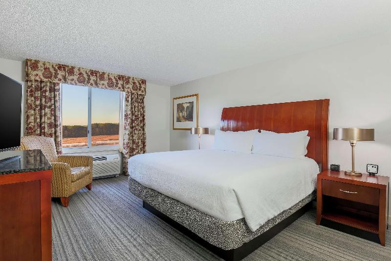 Люкс Кровать Кинг, Hilton Garden Inn Roanoke Rapids