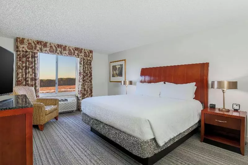キングサイズベッドのスイートルーム, Hilton Garden Inn Roanoke Rapids