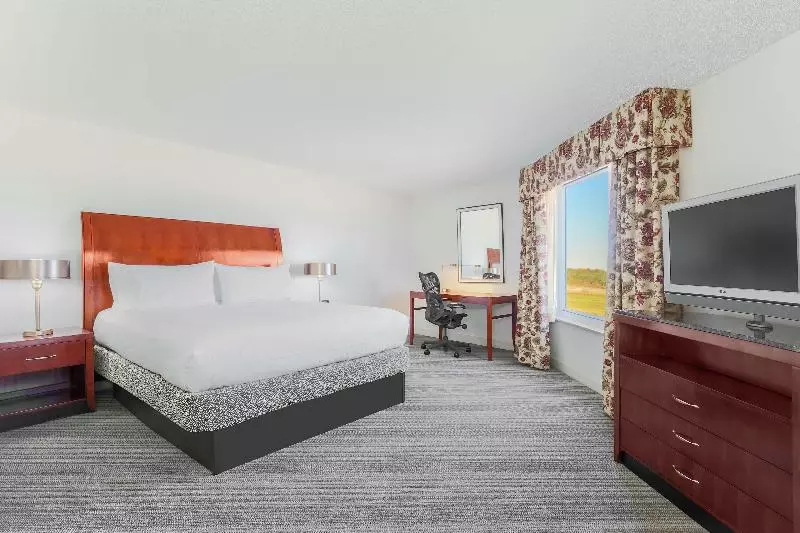 キングサイズベッドのジュニアスイート, Hilton Garden Inn Roanoke Rapids