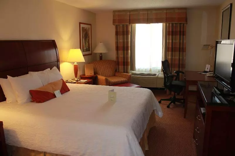 キングサイズベッドのスタンダードルーム, Hilton Garden Inn Starkville