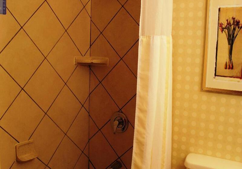 غرفة قياسية سرير كينج, Hilton Garden Inn Starkville